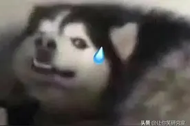 我被亲爸移出了家族群？哈哈求你做个人吧图片