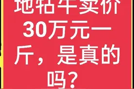 地牯牛一斤卖三十万元，是真的吗？哪里有人收？无保留的分享出来图片