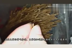 教你泡粉条的正确方法，简单方便，看完告诉家里人视频封面
