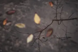 你不喜欢我，那我也不要再喜欢你了图片