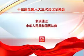 十三届全国人大三次会议表决通过《中华人民共和国民法典》图片