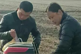 乡土散文：省城女孩成了农村好儿媳图片