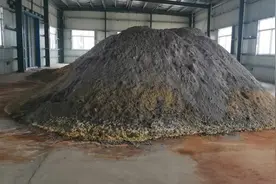 391次加价！北海郑琦案的一堆沙子拍卖，1.9万起拍，52万成交图片