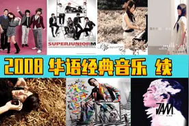 2008年  华语经典音乐（续篇）  诸多大神  你出生小时候的歌曲图片