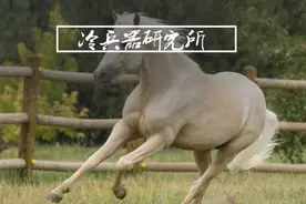 同样农耕，为何中原一直缺马，欧洲却以骑士闻名？图片