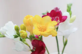女人对异性动了情，会出现这三种肢体语言，很容易看出来图片