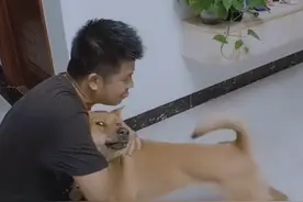 让男人带狗靠谱吗？看狗狗的表情就知道：大猪蹄子图片