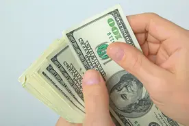 肥牛净利润高达5000元/头，吹牛皮不打草稿吗？图片