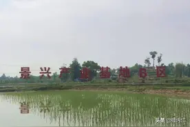 惊人发现！内江这里竟有个钓小龙虾的秘地，个大肥美图片