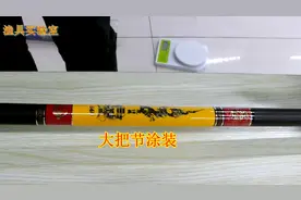双宝金坑钓竿真的是一把钓黑坑的最佳选择吗？图片