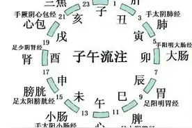 子午流注浅议图片