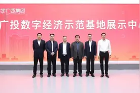 杨绿峰调研数字广西集团图片