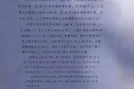 莲池区大阳东街：发布土地分配明细表图片