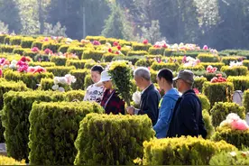 清明上坟规矩多，牢记这四句俗语，子孙必得祖先庇佑图片