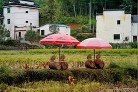婺源古老偏僻村庄：曾是徽商集聚之地，祖上防火防盗还防女人出轨图片