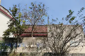 【漯河故事】董仲衡：英勇抗战 宁死不屈图片