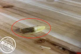 南昌：盖浇饭吃到一半，看到发霉的大蒜，男子心里很不舒服图片