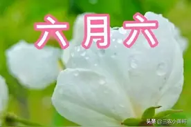 今天六月初六，俗语“六月六晒龙衣，湿了龙衣烂蓑衣”，啥意思？图片