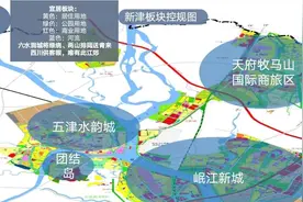 成都新津居然可以随便买！你知道哪个板块好吗？图片