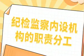 纪检监察内设机构的职责分工图片
