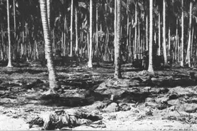 二战的日本人有多凶残？缺粮之时以活人充饥，食人心肝证明勇气图片