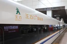 王力安防冲击A股：安全问题致人死亡，未按期申报多项税务图片