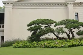 免费！北京超小众宝藏庄园，浓浓法式风情！小洋楼绝美！图片