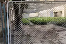 旧西门能不能打开？陶然亭公园：非正规大门，存在安全隐患图片