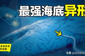 最强海底异形，竟是人类始祖，一场横贯6亿年的星际大战图片