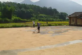 打晒坪混凝土时放竹子能顶钢筋吗？竹子会不会坏？这是经验和智慧图片