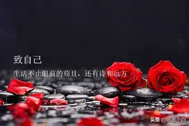致2020年的自己图片