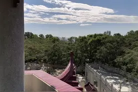 被执行人限制高消费的例外：为解决债务纠纷的行为不应受到限制图片