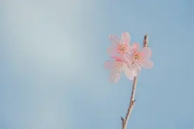 写给没心眼的老实人：不想被人小看和欺负，就反击图片