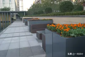 鲁西南方言杂谈-摸没见图片