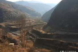 书评｜《受活》：一个悲叹嗟嘘的命数，一场直击心灵的书写图片