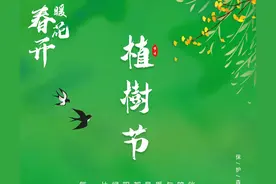 植树节丨什么？！一棵树竟然价值百万！！！图片