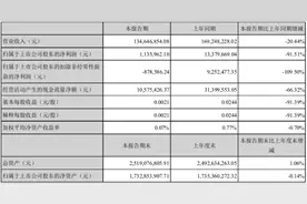 丹邦科技大股东“马不停蹄”减持背后 盈利能力堪忧被机构冷落图片