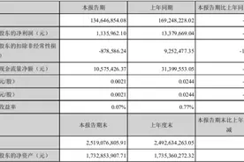 丹邦科技大股东“马不停蹄”减持背后 盈利能力堪忧被机构冷落图片