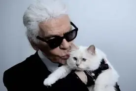 哇，一只猫继承35亿资产图片