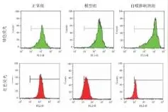 脑损伤模型大鼠Pink1/Parkin介导的线粒体自噬作用图片