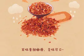「健康饮食」红曲：色泽殷红香扑鼻，千年传承制美味图片