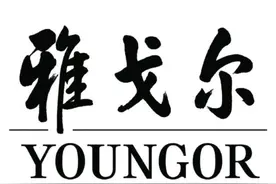 服装龙头雅戈尔的几点总结图片
