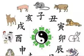 人体五脏六腑在24小时工作安排图片