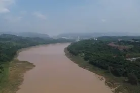 小说｜青青河边草图片