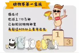 人体寄生虫的高智商和危害，你可能想象不到图片