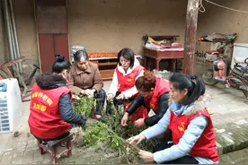 把怡心的爱献给“空巢老人”——记大荔县羌白镇布头村村医、怡馨养老院院长高亚图片