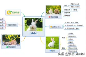 索思英语解码单词（第10个）——rabbit兔子图片