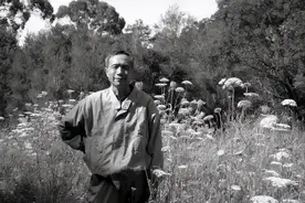 杨小凯 | 最接近诺贝尔奖的华人经济学家图片