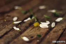 有时候，靠得太近，等于变相伤害图片