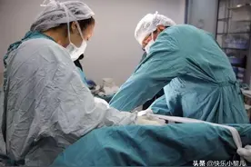 那些打掉的“宝宝”都去哪了？看完这几种处理方法，网友：太残忍图片